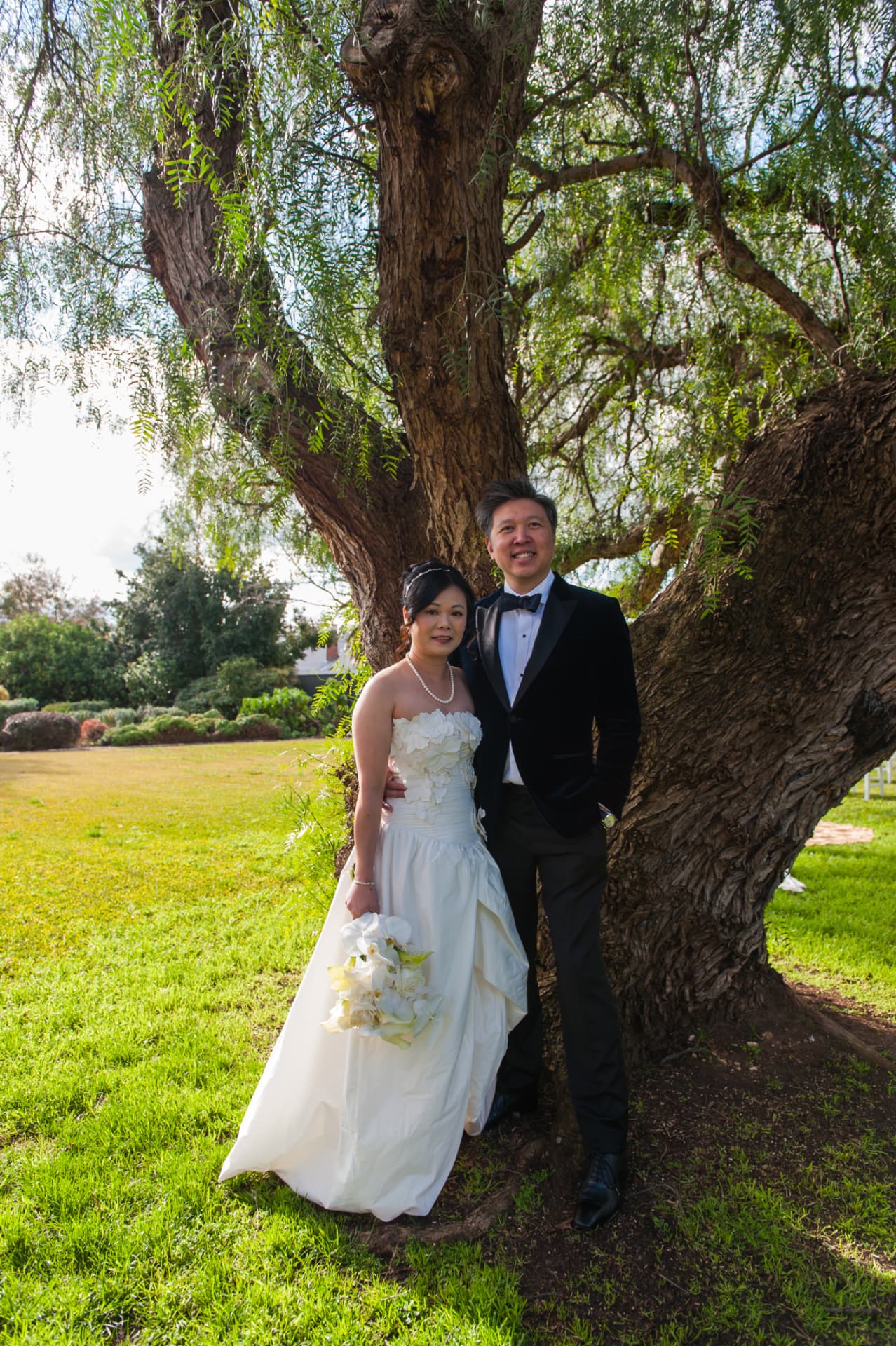 Couple standing together beneath a large old tree on a sunny lawn